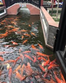 清晖园博物馆19