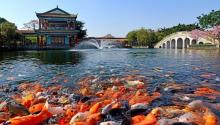 宝墨园18