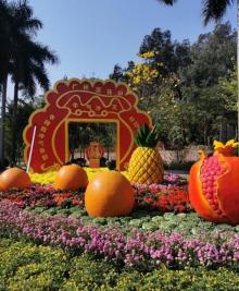 莲花山旅游区27