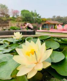 莲花山旅游区23