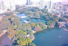 西关永庆坊旅游区6