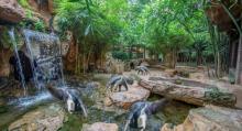 长鹿旅游休博园3