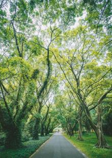 中国科学院华南国家植物园3