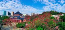 越秀公园23