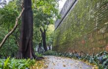 越秀公园16