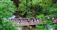白水寨风景名胜区4