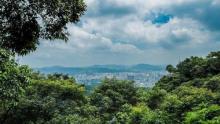 白云山19