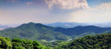 白云山20
