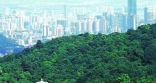 白云山18
