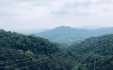 白云山6