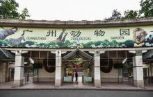 广州动物园7