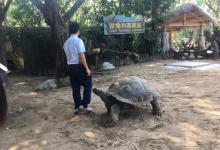 长隆飞鸟乐园26