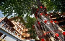 广州大佛寺6