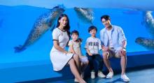 正佳极地海洋世界13