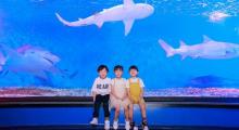 正佳极地海洋世界14