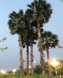 人民广场8