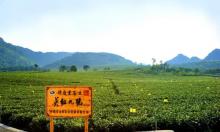 积庆里红茶谷27