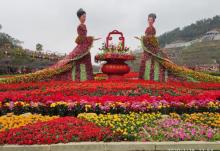花海欢乐世界20