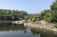 万佛园16
