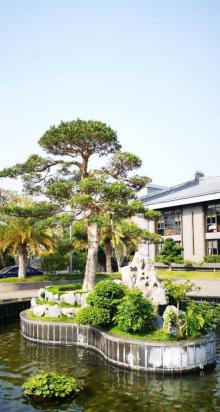 凤凰洲公园7