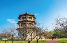 凤凰洲公园3