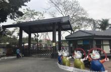 凤凰洲公园9