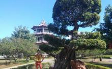 凤凰洲公园19
