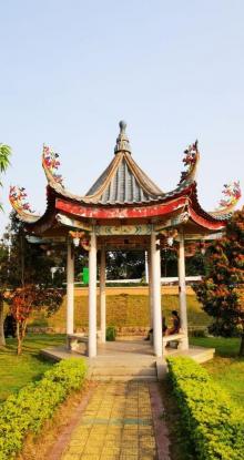 凤凰洲公园6