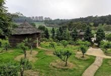 大王山森林公园10