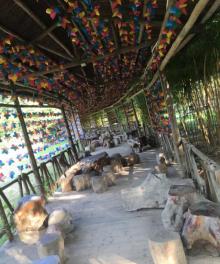 万竹园8