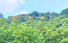 黄岐山2