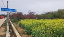 韶关樱花公园1