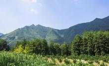 南岭国家森林公园2