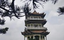 南岭国家森林公园19
