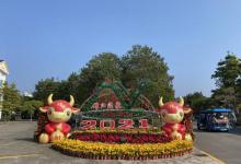 锦江温泉16