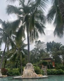 锦江温泉28