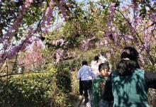 梅州大宝山旅游度假区22