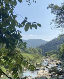 奇石河8