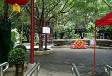 奇石河27