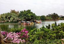 汕头中山公园14