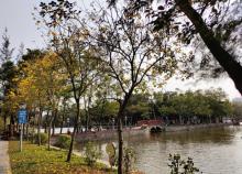 汕头中山公园10