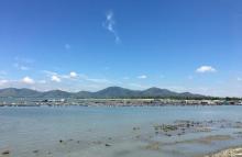 风车岛9