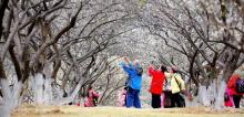 新兴天露山旅游度假区28