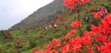 新兴天露山旅游度假区17