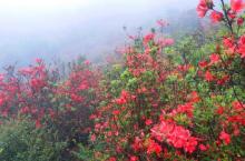 新兴天露山旅游度假区5