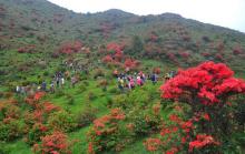 新兴天露山旅游度假区7