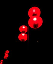 肇庆古城墙(宋城一路)16