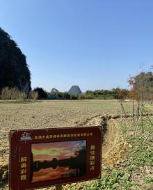 英西峰林走廊28