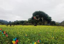 英西峰林走廊9