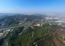 旗岭森林公园3